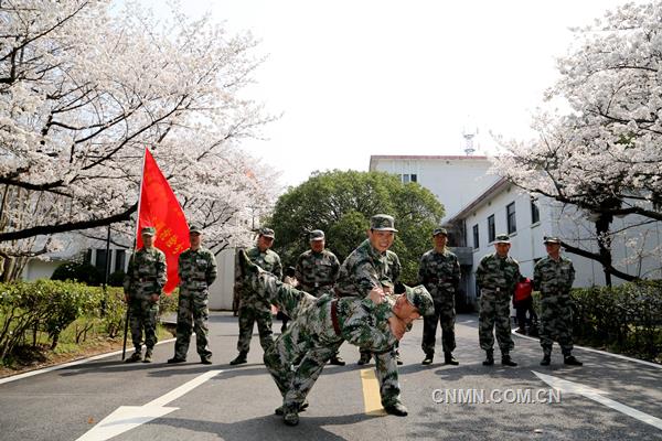 3月22日，陽(yáng)光明媚，春意融融，銅陵有色安慶銅礦櫻花綻放。該礦民兵應(yīng)急分隊(duì)隊(duì)員們正在櫻花樹(shù)下展開(kāi)擒敵技能大比武。據(jù)了解，這是一支平均年齡在三十歲以下、由青工組成的精干隊(duì)伍，在礦山急難險(xiǎn)重的工作中，都活躍著他們的身影，是一支作風(fēng)過(guò)硬、紀(jì)律嚴(yán)明、能打硬仗的礦山“護(hù)衛(wèi)隊(duì)”。